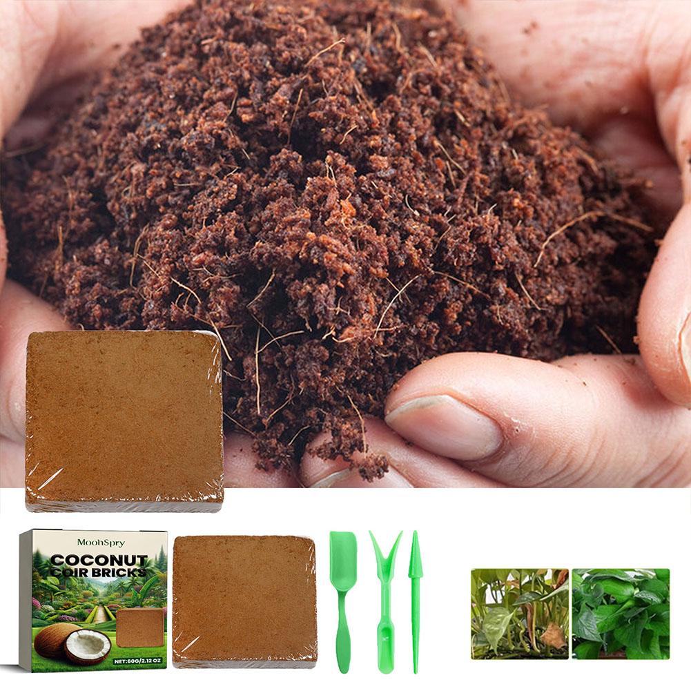 Substrate Coconut Fiber - 코코넛 코이어 섬유 벽돌 - 유기농
