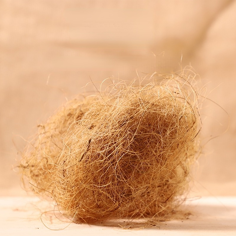 Substrate Coconut Fiber - 100g 핀치 코코넛 섬유 새 둥지