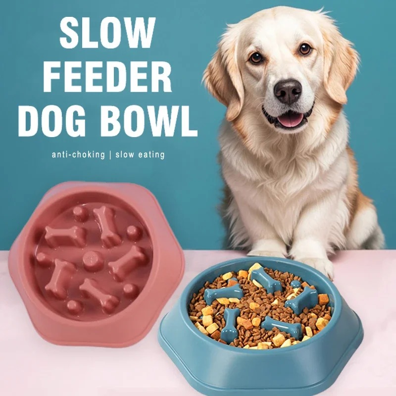 Royal Canin Food Medium - 1개 슬로우 급식기 강아지 밥그릇, 질식